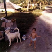 Katherine (Kat) McDougal Wheeler McCandless; saipan dog
